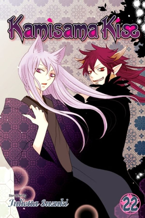 Cover Art for 9781421594064, Kamisama Kiss, Vol. 22 by Julietta Suzuki