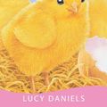 Cover Art for 9780340917879, Chick Challenge by Lucy Daniels