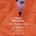 Cover Art for 9780593340882, The Lying Life of Adults by Elena Ferrante