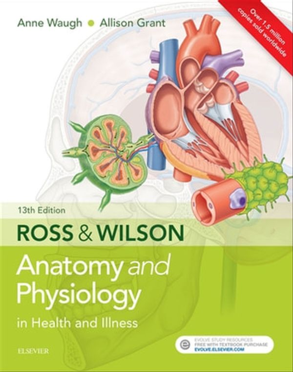 Cover Art for 9780702072840, Ross & Wilson Anatomy and Physiology in Health and Illness by Anne Waugh, Allison Grant