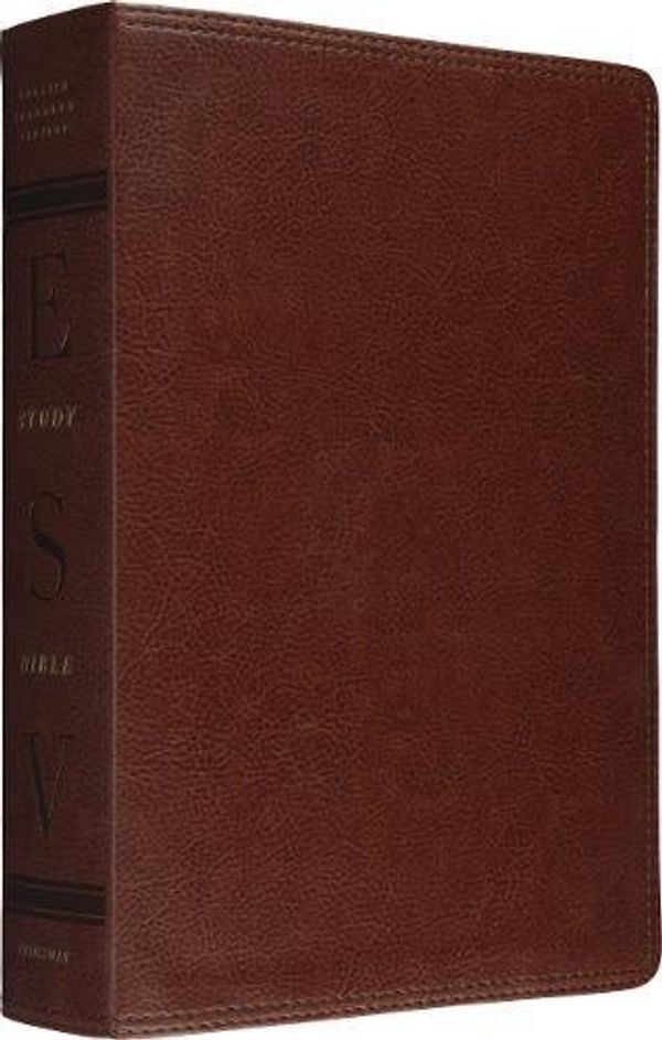 Cover Art for 9781433502408, Study Bible by Crossway Books