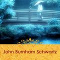 Cover Art for 9781602852211, The Commoner by John Burnham Schwartz