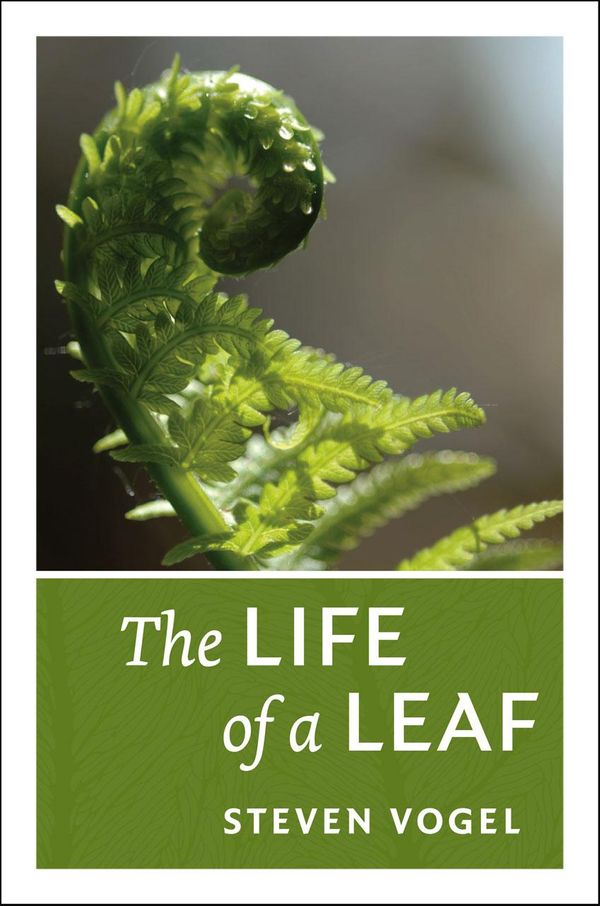 Cover Art for 9780226859422, The Life of a Leaf by Steven Vogel