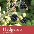 Cover Art for B078JM2B9N, Hedgerow: River Cottage Handbook No.7 by Wright, John