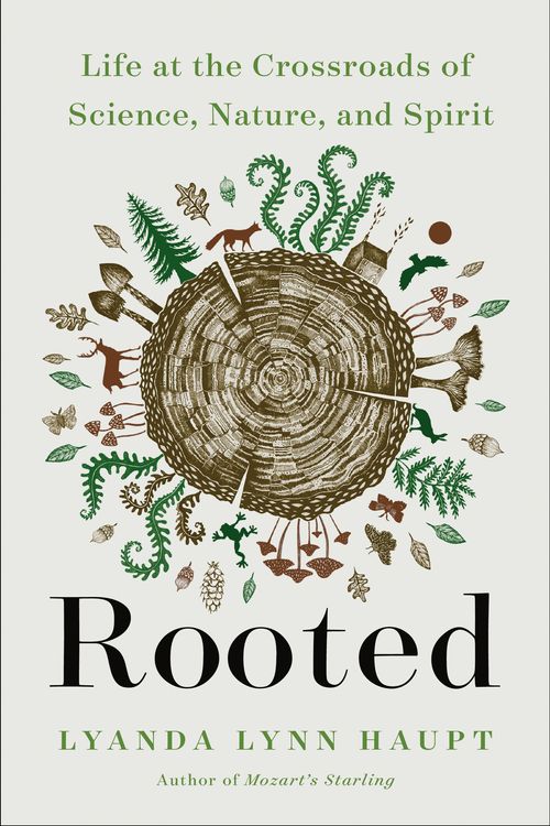 Cover Art for 9780316426480, Rooted: Life at the Crossroads of Science, Nature, and Spirit by Lyanda Lynn Haupt