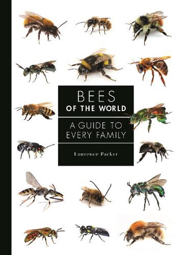 Cover Art for 9780691226620, Bees of the World: A Guide to Every Family: 5 by Laurence Packer