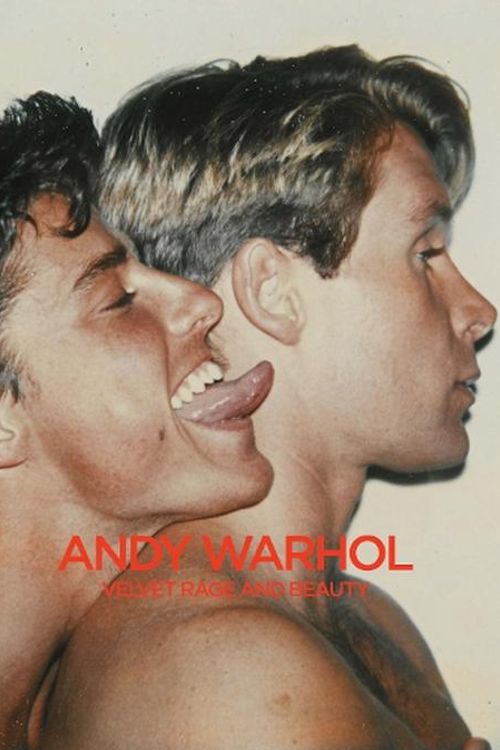 Cover Art for 9783791377650, Andy Warhol: Velvet Rage and Beauty by KLAUS BIESENBACH