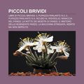 Cover Art for 9781232106487, Piccoli Brividi: Libri Di Piccoli Brivid by Fonte Wikipedia
