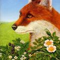 Cover Art for 9781446478950, The Fox Cub Bold by Colin Dann
