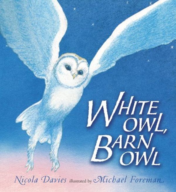 Cover Art for 9780763633646, White Owl, Barn Owl by Nicola Davies