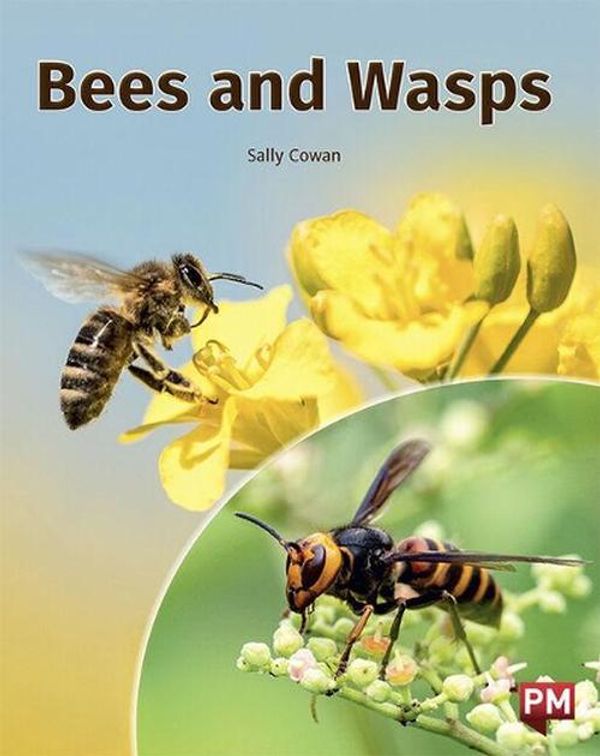 Cover Art for 9780170329163, Bees and Wasps by Cowan,Sally