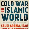 Cover Art for 9780190050337, Cold War in the Islamic World by Dilip Hiro