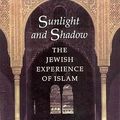 Cover Art for 9781860647383, Sunlight and Shadow by Lucien Gubbay