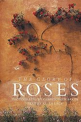 Cover Art for 9781556704482, The Glory of Roses by Allen Lacy