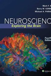 Cover Art for 9780781778176, Neuroscience by Mark F. Bear, Barry W. Connors, Michael A. Paradiso