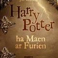 Cover Art for 9782363120083, Harry Potter, Tome 1 : Ha Maen ar Furien : Edition en breton by J.j. Rowling