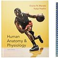 Cover Art for 9780134204093, Human Anatomy & Physiology; Human Anatomy & Physiology Laboratory Manual, Main Version; Masteringa &p with Pearson Etext -- Valuepack Access Card -- For Human Anatomy & Physiology by Elaine N. Marieb, Katja N. Hoehn