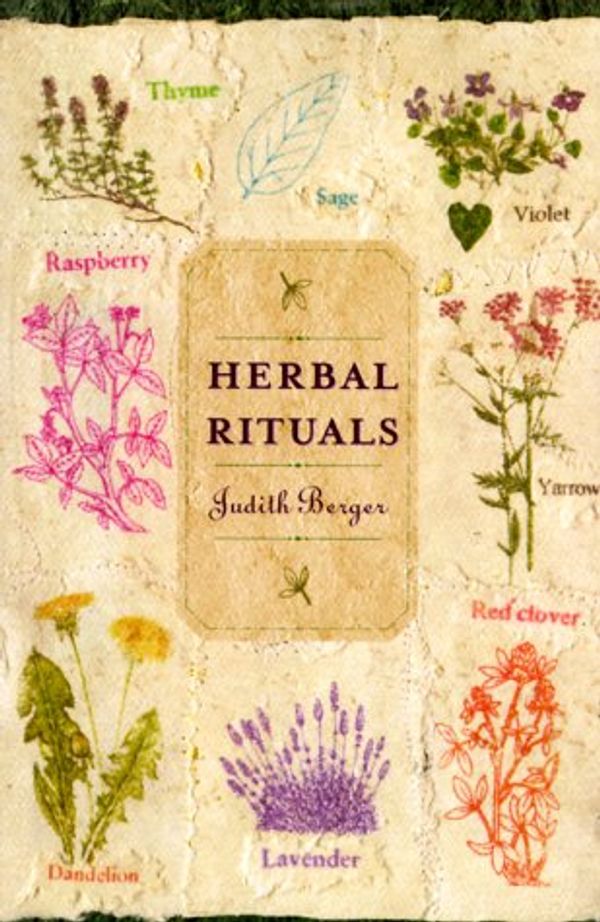 Cover Art for 9780312243012, Herbal Rituals by Judith Berger
