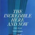 Cover Art for 9781760621339, The Incredible Here and Now by Felicity Castagna