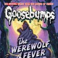 Cover Art for 9780545158862, The Werewolf of Fever Swamp by R. L. Stine