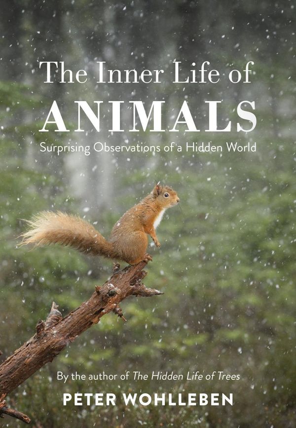 Cover Art for 9781847924551, The Inner Life of Animals: Love, Grief, and Compassion - Surprising Observations of a Hidden World by Peter Wohlleben