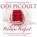 Cover Art for 9781848941892, Picture Perfect by Jodi Picoult