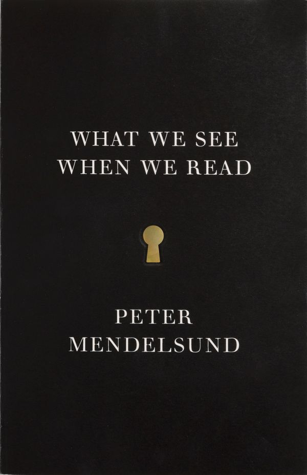 Cover Art for 9780804171632, What We See When We Read by Peter Mendelsund