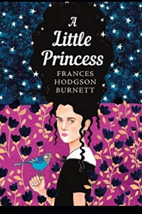 Cover Art for 9798693018709, A Little Princess Illustrated by Frances Hodgson Burnett