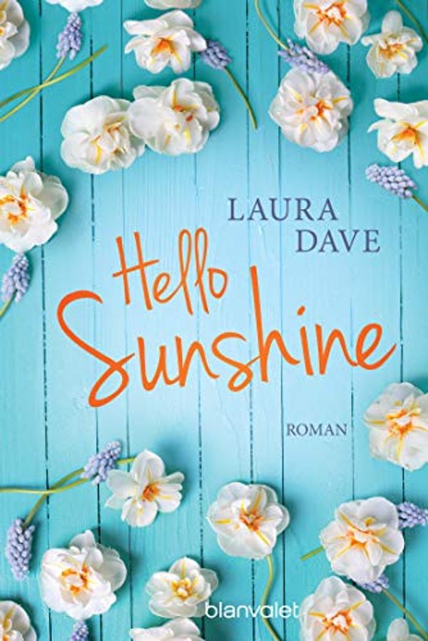 Cover Art for 9783734103537, Hello Sunshine: Roman by Laura Dave