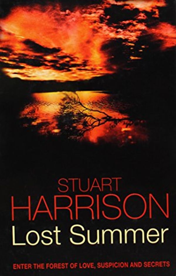 Cover Art for 9781843953340, Lost Summer by Stuart Harrison