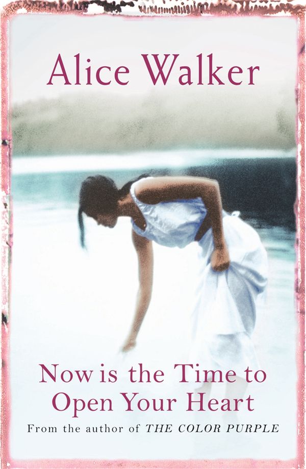 Cover Art for 9780753819579, Now is the Time to Open Your Heart by Alice Walker