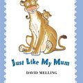 Cover Art for 9780340860908, Just Like My Mum by David Melling