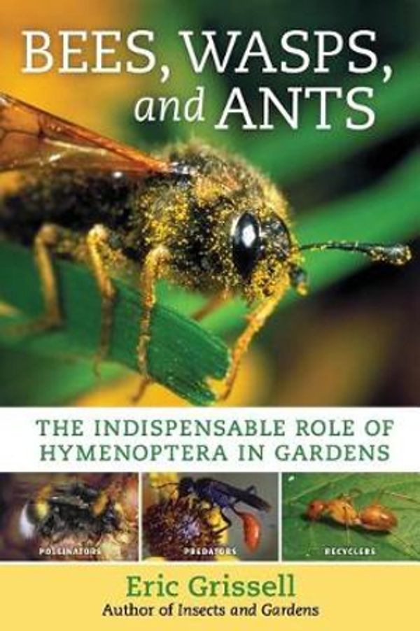 Cover Art for 9781604699104, Bees, Wasps, and Ants: The Indispensable Role of Hymenoptera in Gardens by Eric Grissell