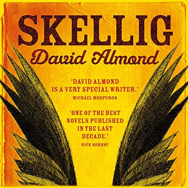 Cover Art for B01BAKQ2C8, Skellig by David Almond