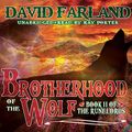 Cover Art for 9781433227042, Brotherhood of the Wolf by David Farland