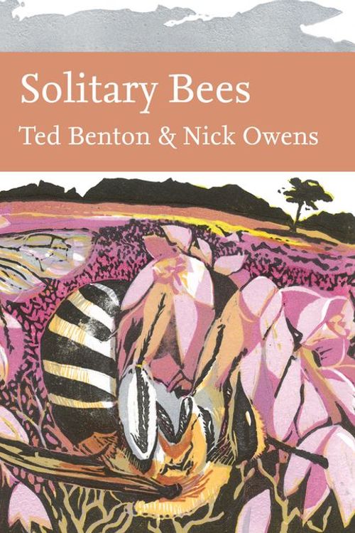 Cover Art for 9780008304577, Solitary Bees by Ted Benton, Nick Owens