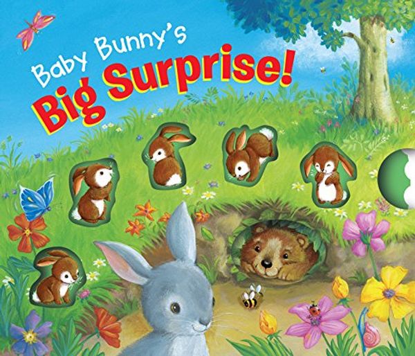 Cover Art for 9781760451141, Soft to Touch Tales Baby Bunny's Big Surprise! by Unknown