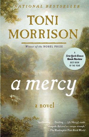 Cover Art for 9780307276766, A Mercy by Toni Morrison