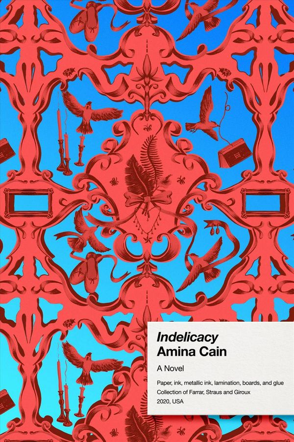 Cover Art for 9780374148379, Indelicacy: A Novel by Amina Cain