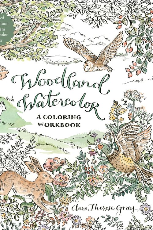 Cover Art for 9781645676119, Whimsical Woodland Watercolor: 30 Forest-Inspired Illustrations That Are Ready to Paint by Therese Gray, Clare