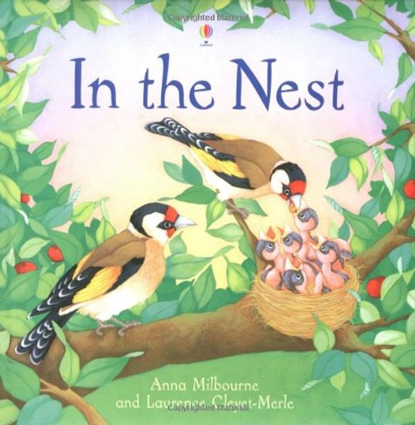 Cover Art for 9780746052105, The Nest by Anna Milbourne