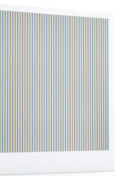 Cover Art for 9780989980975, Bridget Riley: The Stripe Paintings 1961-2014 by Bridget Riley
