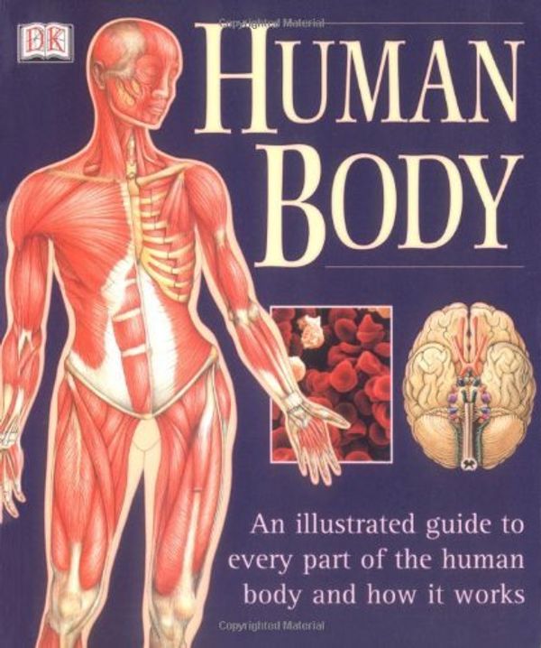 Cover Art for 0635517079883, Human Body by Brian Ward
