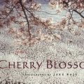 Cover Art for 9780847827947, Cherry Blossoms by Jake Rajs