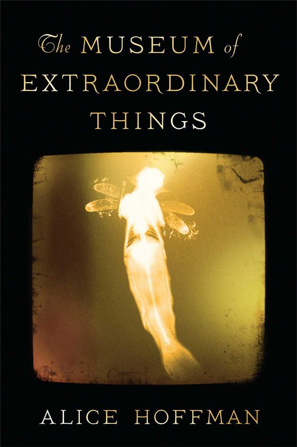 Cover Art for 9781471135538, The Museum of Extraordinary Things by Alice Hoffman