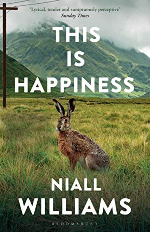 Cover Art for B07R22DLZX, This Is Happiness by Niall Williams