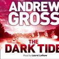 Cover Art for 9780007295814, The Dark Tide by Andrew Gross