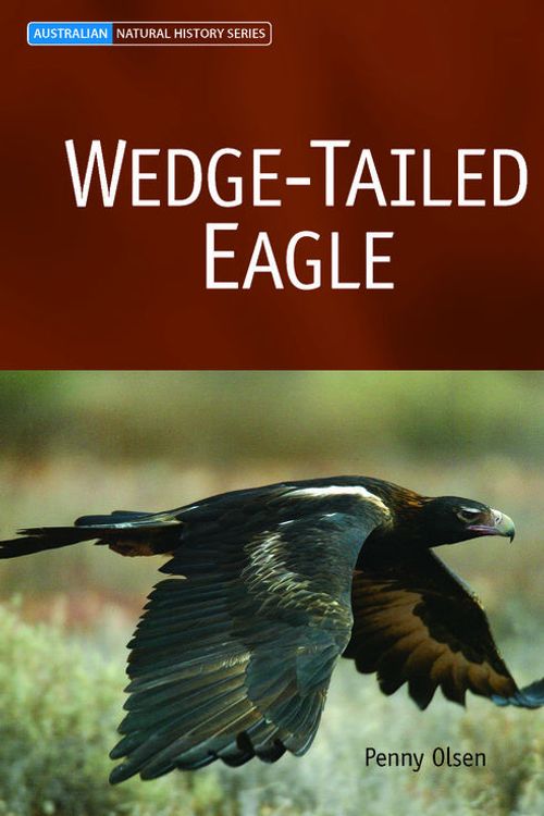 Cover Art for 9780643091658, Wedge-tailed Eagle by Penny Olsen