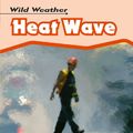 Cover Art for 9780431150857, Heat Wave by Catherine Chambers