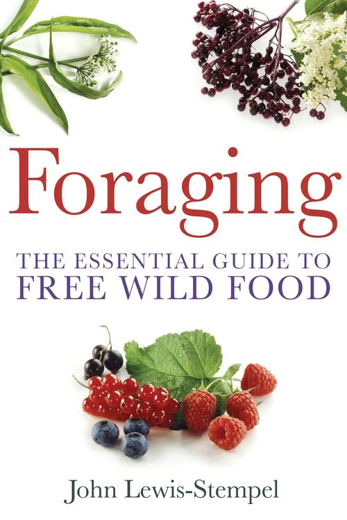 Cover Art for 9780716023104, Foraging: A practical guide to finding and preparing free wild food by John Lewis-Stempel